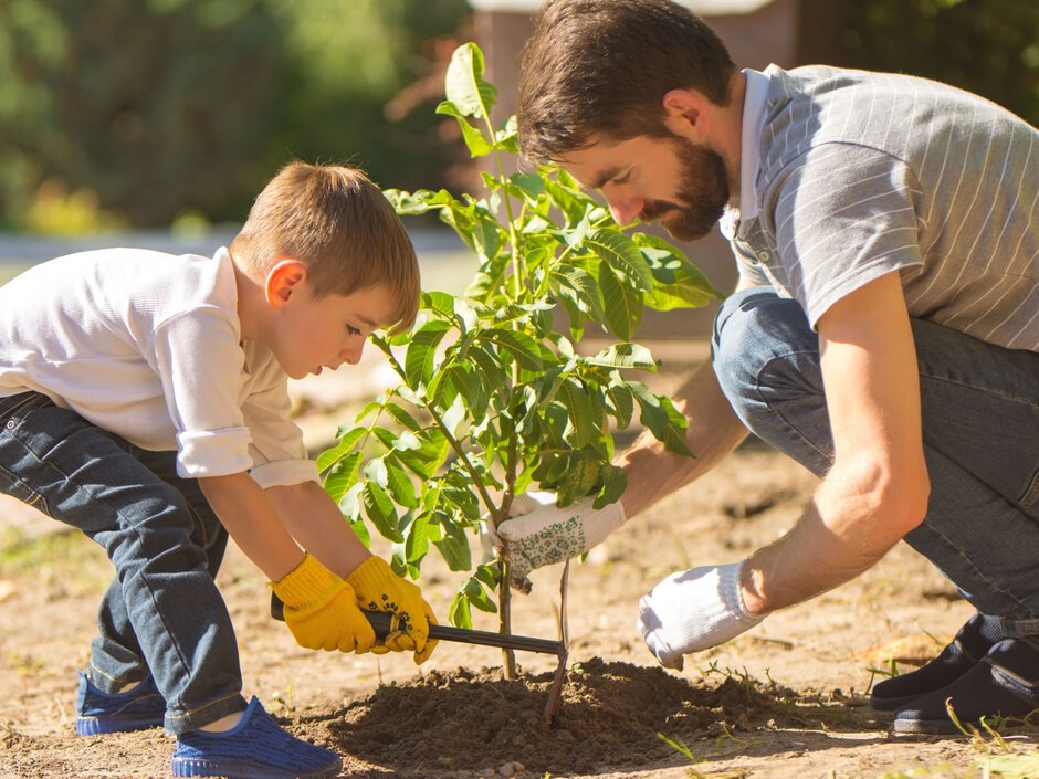 Ein Mann und ein kleines Kind pflanzen gemeinsam einen jungen Baum in die Erde. Der Mann trägt graue Kleidung und Gartenhands